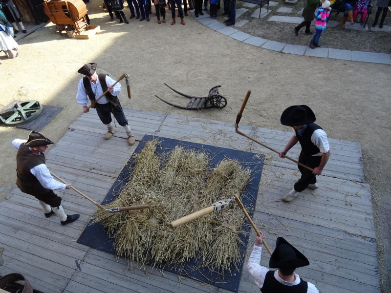 DSC00012_5e60f12598020