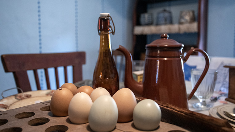 Dauerausstellung<br>
Alltag für Ackerbürger Alltag für Ackerbürger