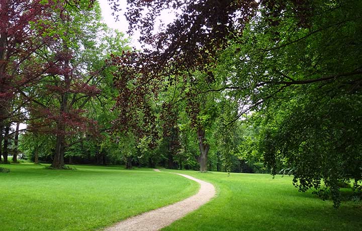 Blick in den Park Image